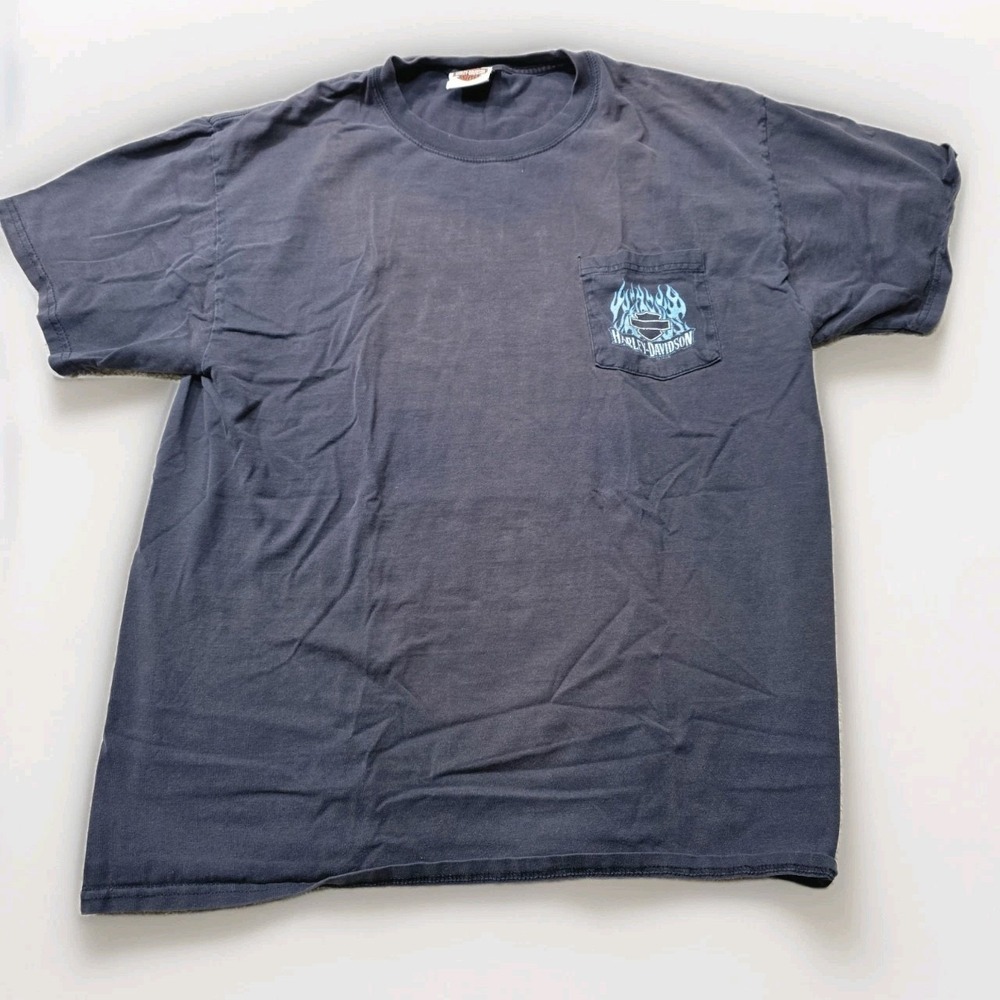 vintage Harley-Davidson Copper Canyon Butte MT Men's XL Hanes Beefy TShirt